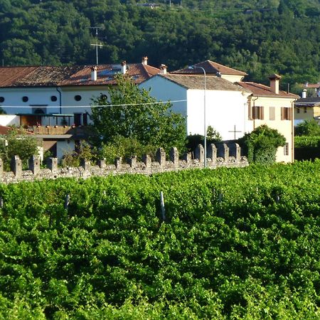 Agriturismo Grillo Iole Winery Prepotto  Exteriér fotografie