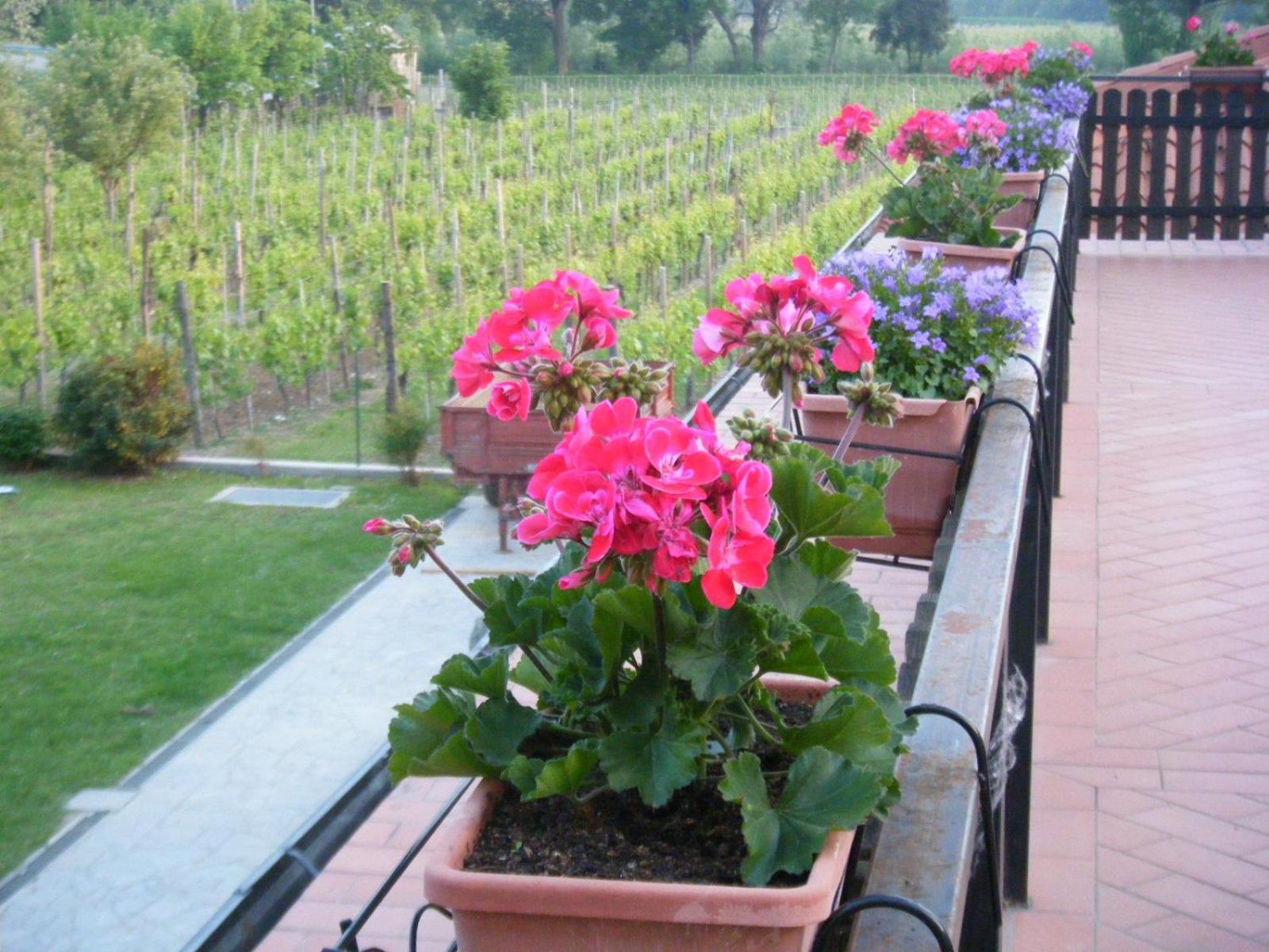 Agriturismo Grillo Iole Winery Prepotto  Exteriér fotografie